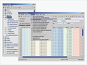 Screenshot ERP op